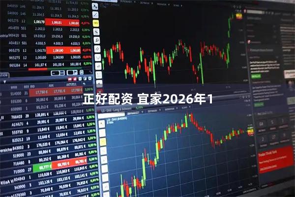 正好配资 宜家2026年1