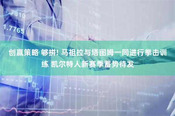 创赢策略 够拼! 马祖拉与塔图姆一同进行拳击训练 凯尔特人新赛季蓄势待发